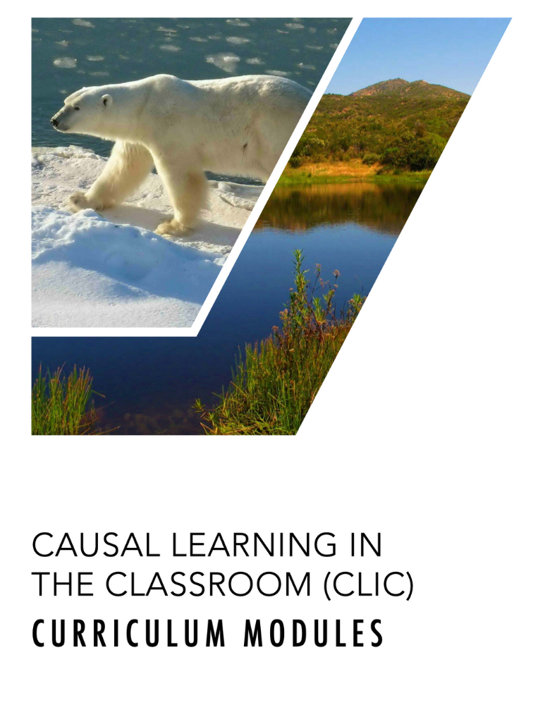 Causal Learning in the Classroom