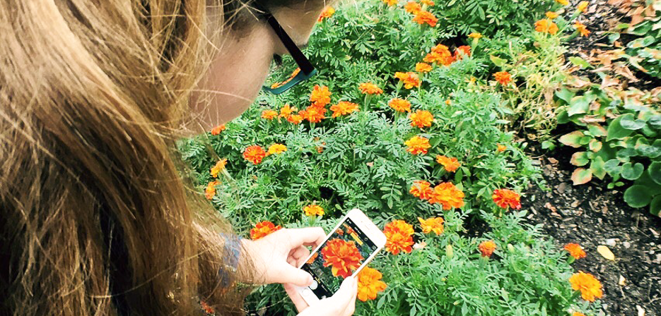 Girl exploring flowers with her smartphone
